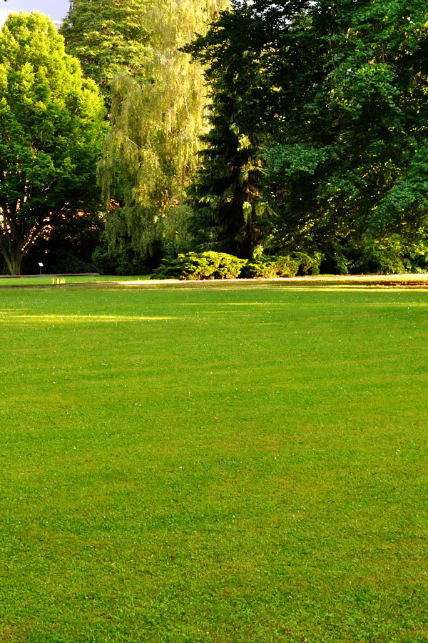 photo - Recherche foncière